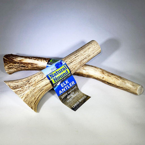Elk Antler Chews - Natural Hound