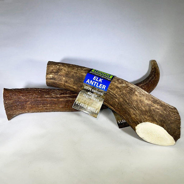 Elk Antler Chews - Natural Hound
